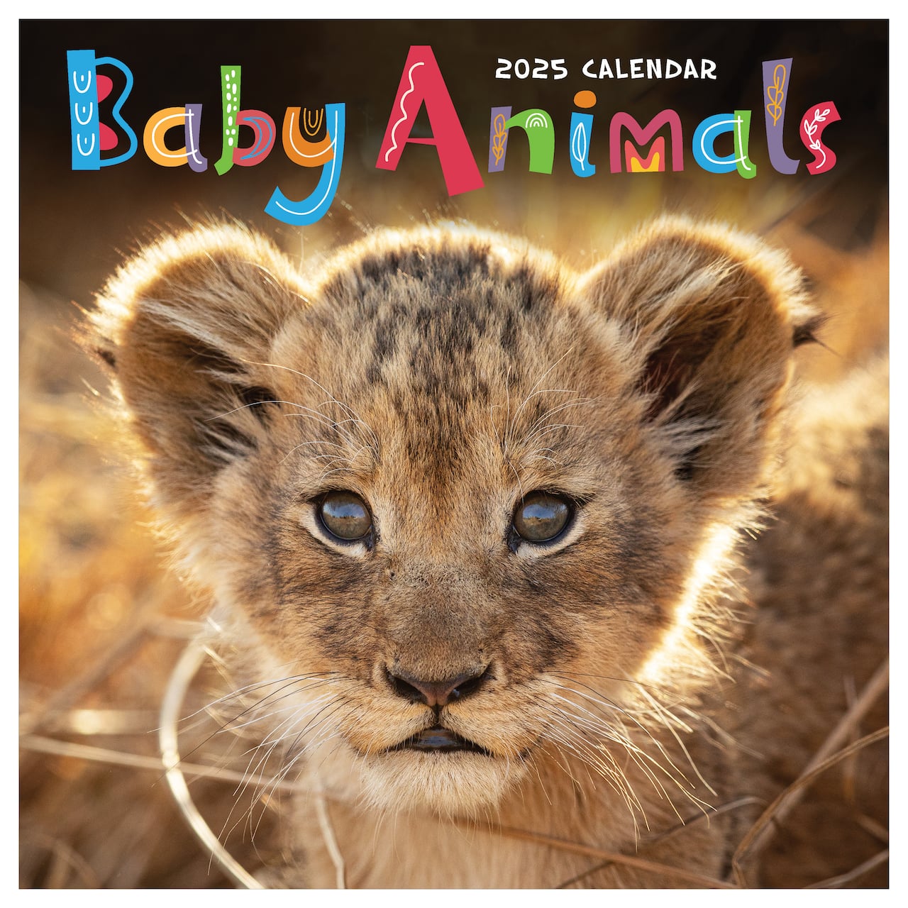 Tf Publishing Calendar 2025